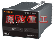 溫度表、數(shù)字顯示儀、濕度表