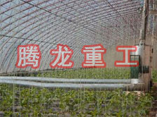 大棚花卉供暖設(shè)備、大棚卉采暖設(shè)備、大棚花卉取暖設(shè)備