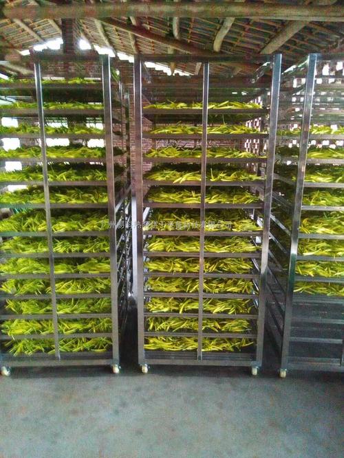 黃花菜烘干機(jī)、黃花菜烘干設(shè)備、黃花菜干燥機(jī)、黃花菜干燥設(shè)備、